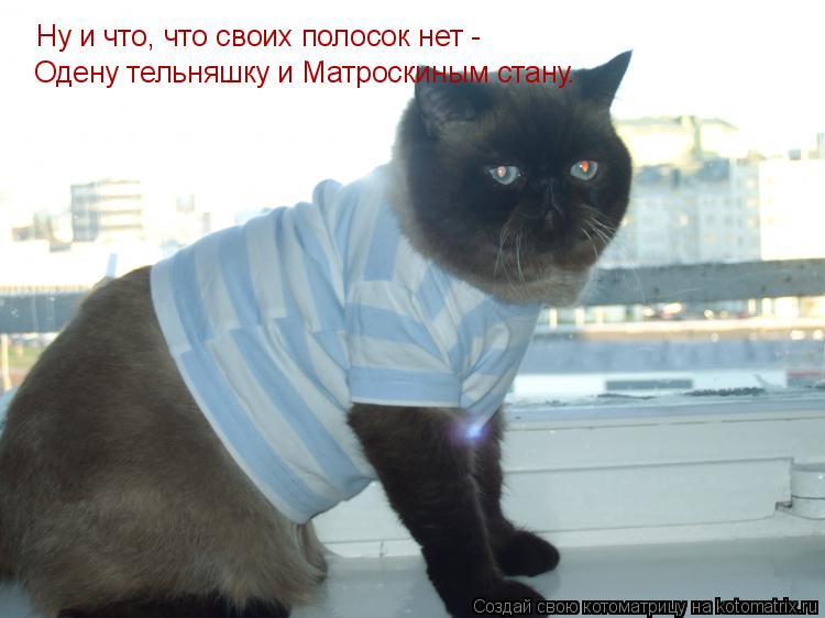 Котоматрица: Ну и что, что своих полосок нет -  Одену тельняшку и Матроскиным стану.