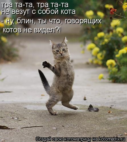 тра та-та, тра та-та не везут с собой кота - ну, блин, ты что, говорящих котов не видел?!... Котоматрица: тра та-та, тра та-та не везут с собой кота - ну, блин, ты что, говорящих котов не видел?!