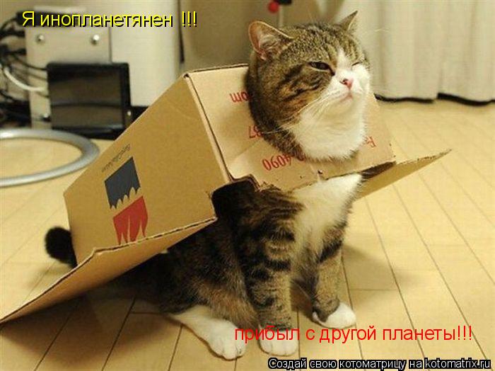 Котоматрица: Я инопланетянен прибыл с другой планеты!!! !!!