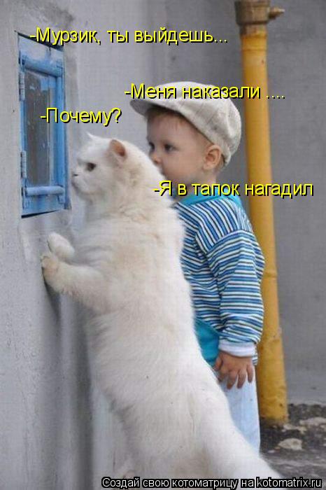 Котоматрица: -Мурзик, ты выйдешь... -Меня наказали .... -Почему? -Я в тапок нагадил