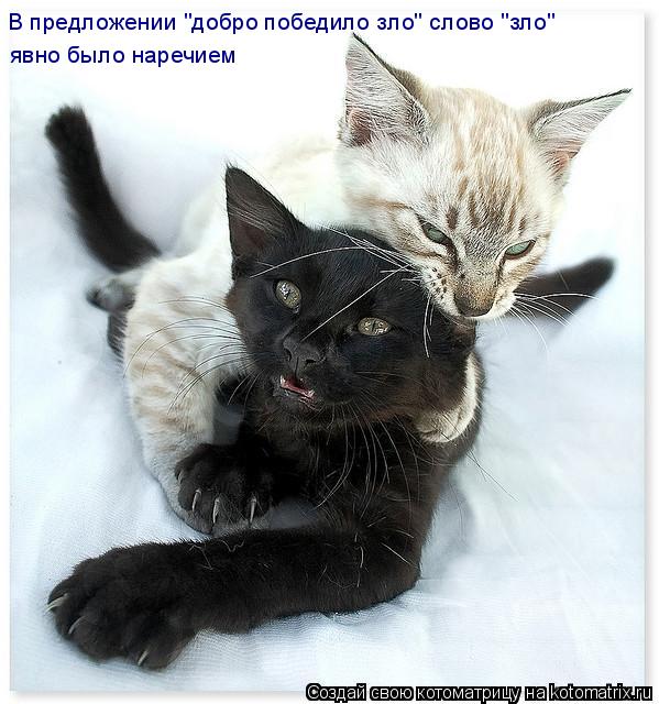 Котоматрица: В предложении "добро победило зло" слово "зло"  явно было наречием