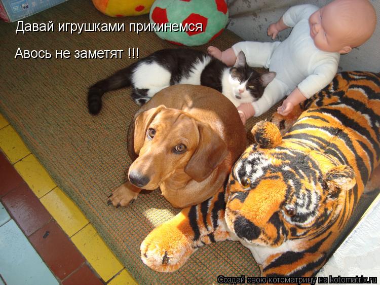 Котоматрица: Давай игрушками прикинемся Авось не заметят !!!