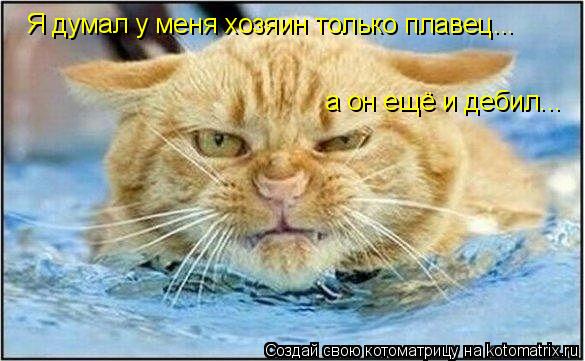 Котоматрица: Я думал у меня хозяин только плавец... а он ещё и дебил...