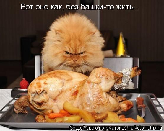 Вот оно как, без башки-то жить...... Котоматрица: Вот оно как, без башки-то жить...