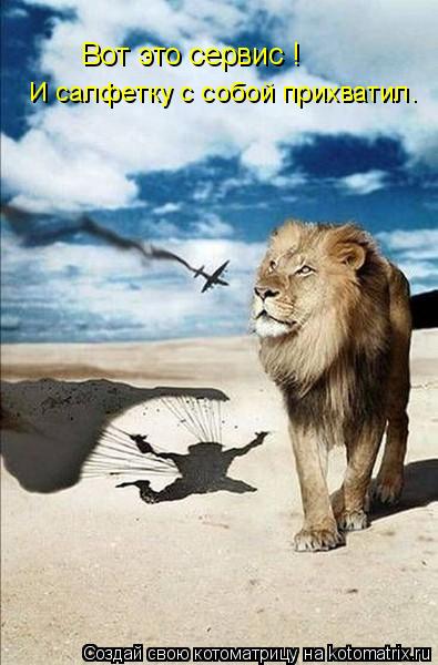 Котоматрица: Вот это сервис ! И салфетку с собой прихватил.