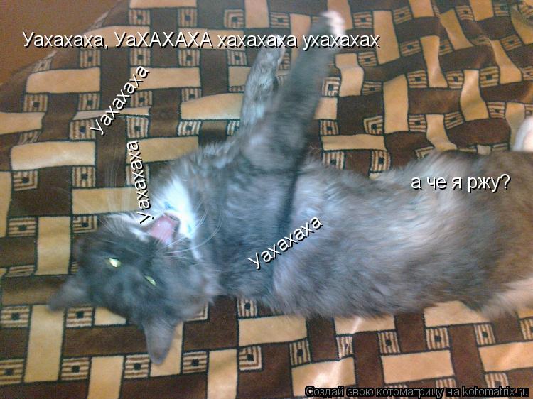 Котоматрица: Уахахаха, УаХАХАХА хахахаха ухахахах а че я ржу? Уахахаха Уахахаха Уахахаха