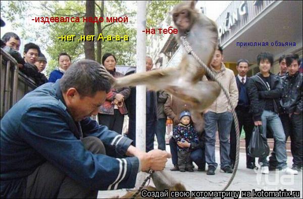 Котоматрица: -издевалса надо мной -нет ,нет А-а-а-а   -на тебе приколная обзьяна