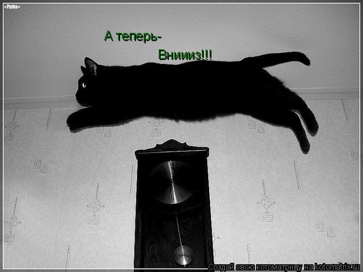 Котоматрица: А теперь- Вниииз!!!