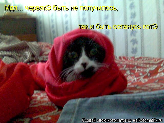 Котоматрица: Мдя... червякЭ быть не получилось, так и быть останусь котЭ