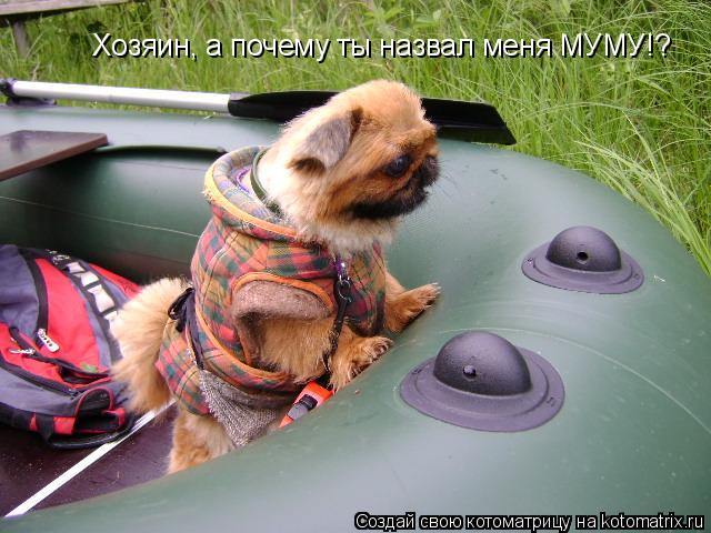 Котоматрица: Хозяин, а почему ты назвал меня МУМУ!?