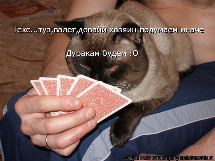 Котоматрица: Текс...туз,валет,довайй хозяин подумаем иначе  Текс...туз,валет,довайй хозяин подумаем иначе  Дуракам будем :О