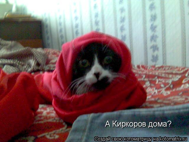 Котоматрица: А Киркоров дома?