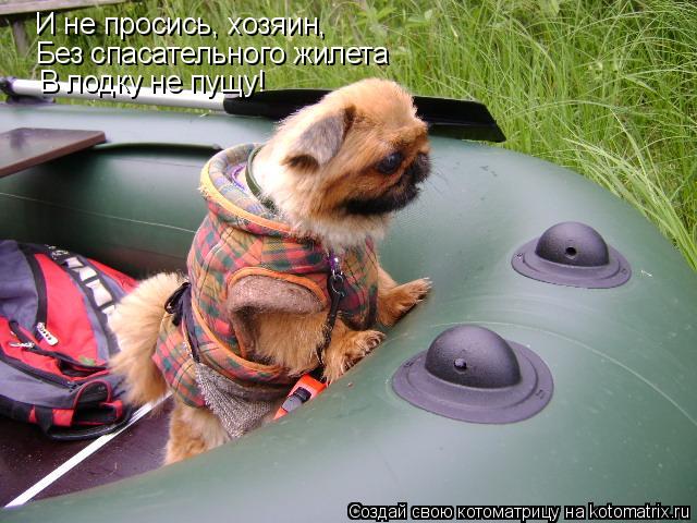Котоматрица: И не просись, хозяин, Без спасательного жилета В лодку не пущу!