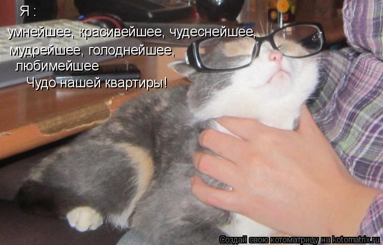 Котоматрица: Я : умнейшее, красивейшее, чудеснейшее, мудрейшее, голоднейшее, любимейшее Чудо нашей квартиры!