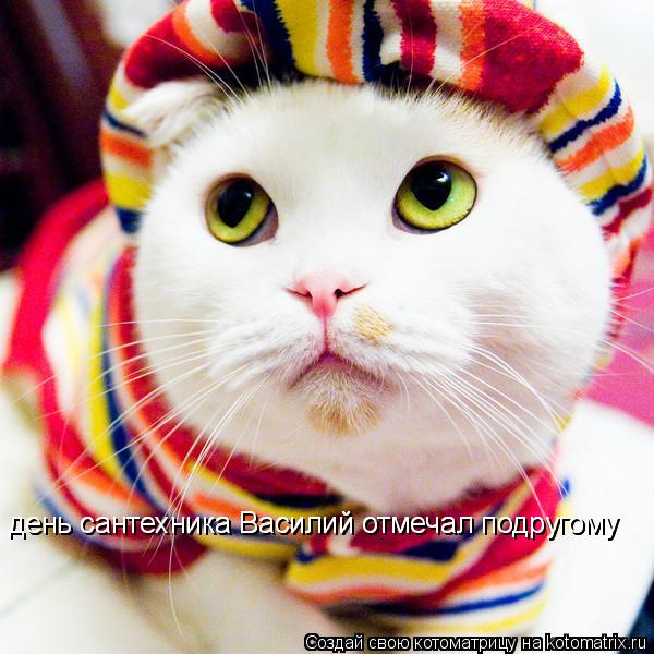 Котоматрица: день сантехника Василий отмечал подругому день сантехника Василий отмечал подругому