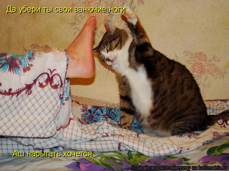 Котоматрица: Да убери ты свои ванючие ноги Аш нарыгать хочется