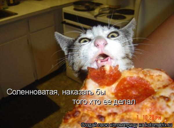 Котоматрица: Соленноватая, наказать бы  того хто ее делал