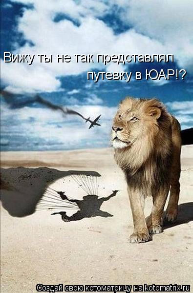 Котоматрица: Вижу ты не так представлял путевку в ЮАР!?