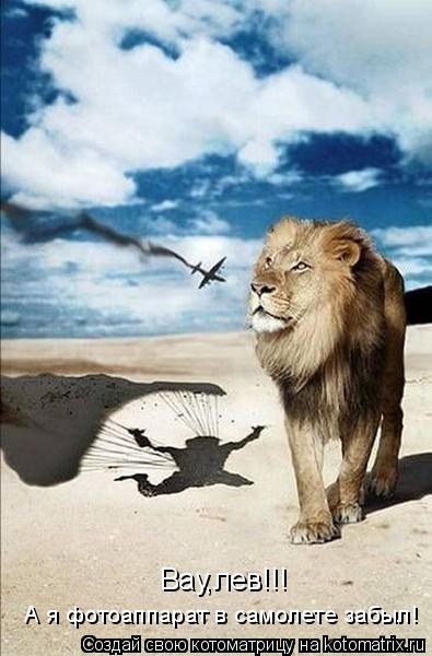 Котоматрица: Вау,лев!!! А я фотоаппарат в самолете забыл!