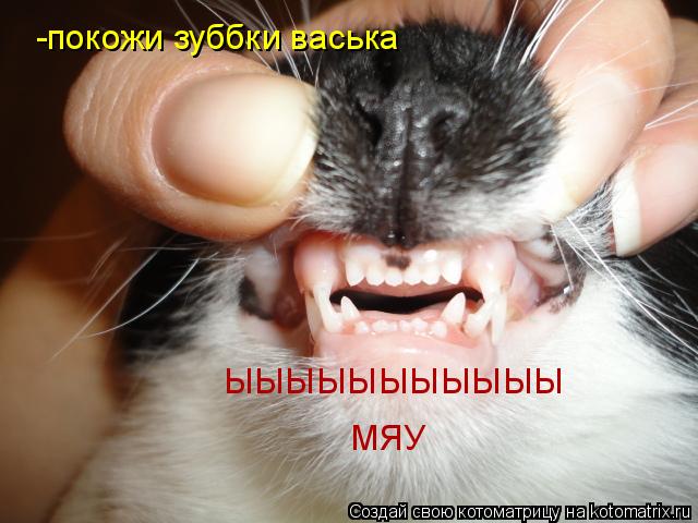Котоматрица: -покожи зуббки васька ЫЫЫЫЫЫЫЫЫЫЫ МЯУ