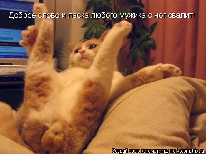 Котоматрица: Доброе слово и ласка любого мужика с ног свалит!