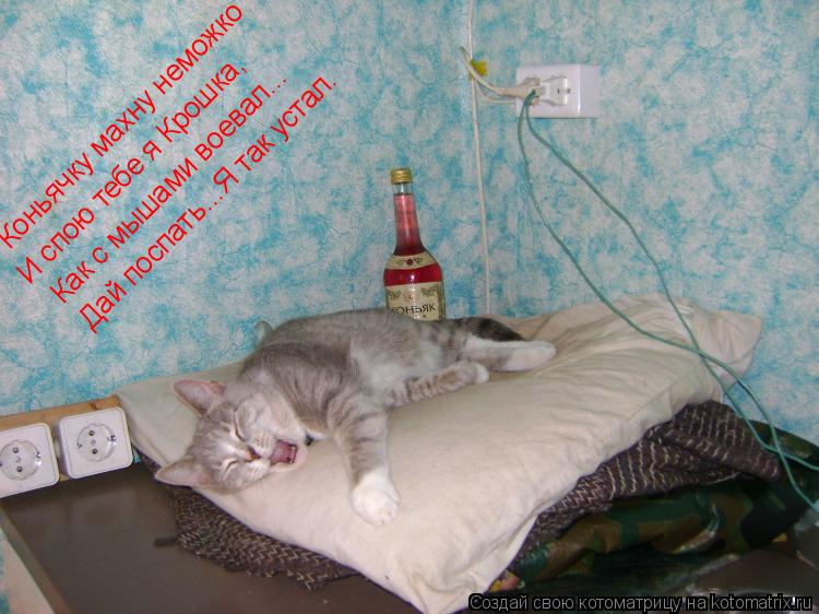 Котоматрица: Коньячку махну неможко И спою тебе я Крошка, Как с мышами воевал... Дай поспать...Я так устал.