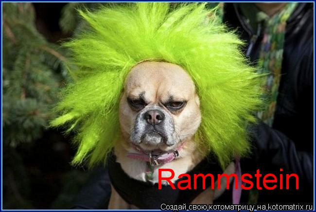 Котоматрица: Rammstein