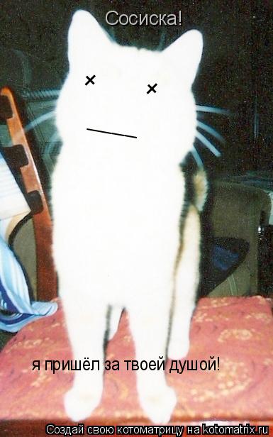 Котоматрица: Сосиска!  я пришёл за твоей душой! + + ____