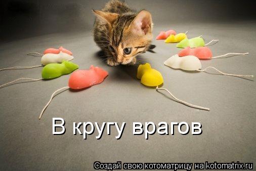 Котоматрица: В кругу врагов