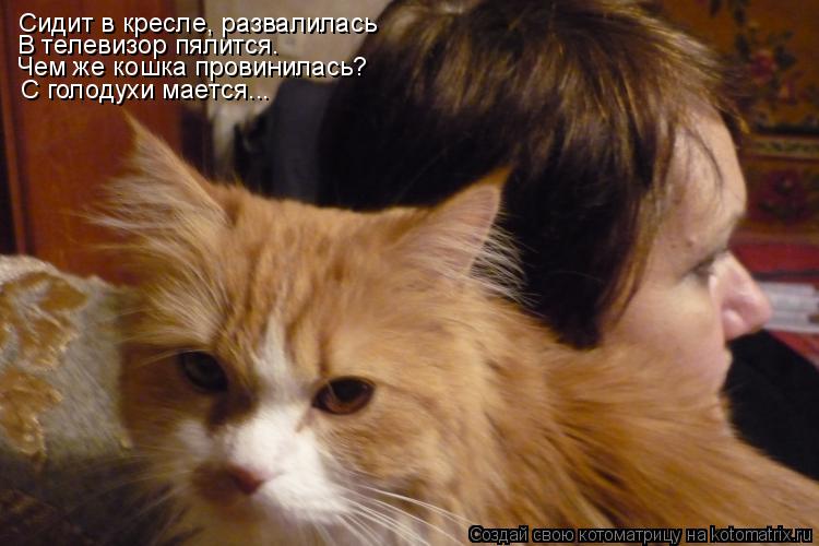Сидит в кресле, развалилась В телевизор пялится. Чем же кошка провинилась? С голодухи мается...... Котоматрица: Сидит в кресле, развалилась В телевизор пялится. Чем же кошка провинилась? С голодухи мается...