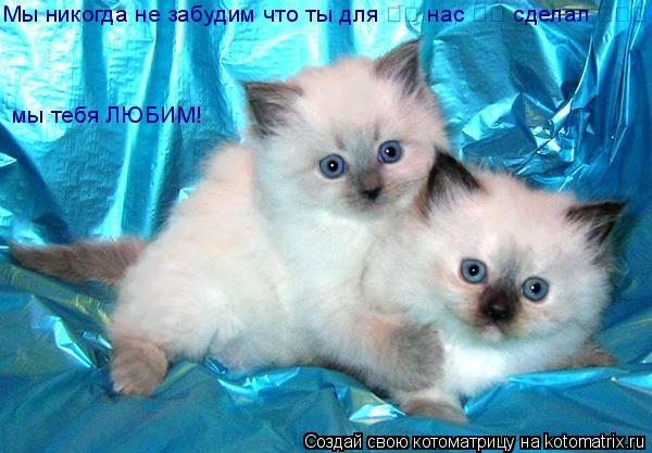 Мы никогда не забудим что ты для ღღ нас ღღ сделал ღღღ мы те... Котоматрица: Мы никогда не забудим что ты для ღღ нас ღღ сделал ღღღ мы тебя ЛЮБИМ!