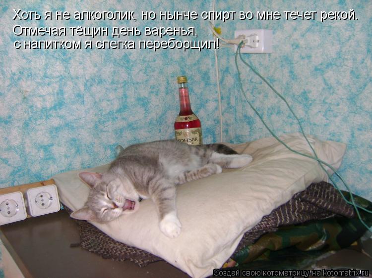 Хоть я не алкоголик, но нынче спирт во мне течет рекой. Отмечая тёщин день варенья, с напитком я сл... Котоматрица: Хоть я не алкоголик, но нынче спирт во мне течет рекой. Отмечая тёщин день варенья, с напитком я слегка переборщил!