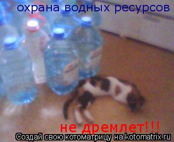 охрана водных ресурсов не дремлет!!!... Котоматрица: охрана водных ресурсов не дремлет!!!