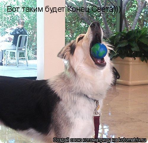 Вот таким будет Конец Света)))... Котоматрица: Вот таким будет Конец Света)))