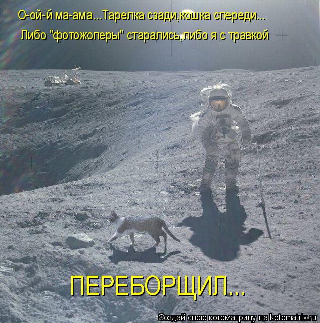 О-ой-й ма-ама...Тарелка сзади,кошка спереди... ПЕРЕБОРЩИЛ... Либо "фотожоперы" старались,либо я с тра... Котоматрица: О-ой-й ма-ама...Тарелка сзади,кошка спереди... ПЕРЕБОРЩИЛ... Либо "фотожоперы" старались,либо я с травкой