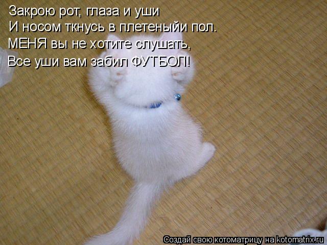 Котоматрица: Закрою рот, глаза и уши И носом ткнусь в плетеныйи пол. МЕНЯ вы не хотите слушать, Все уши вам забил ФУТБОЛ!