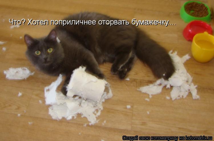 Котоматрица: Что? Хотел поприличнее оторвать бумажечку....