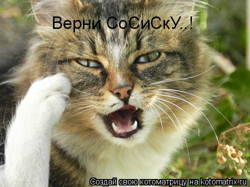 Котоматрица: Верни СоСиСкУ..!
