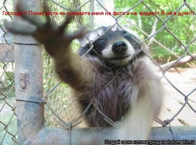 Котоматрица: Господа!!! Пожалуйста не снимайте меня на фото и на  видео!!! Я не в духе!!!