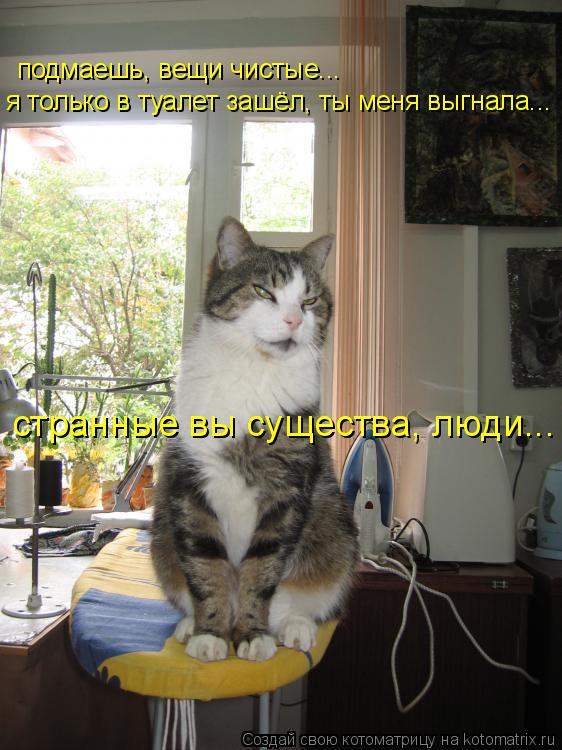 Котоматрица: подмаешь, вещи чистые... я только в туалет зашёл, ты меня выгнала... странные вы существа, люди...