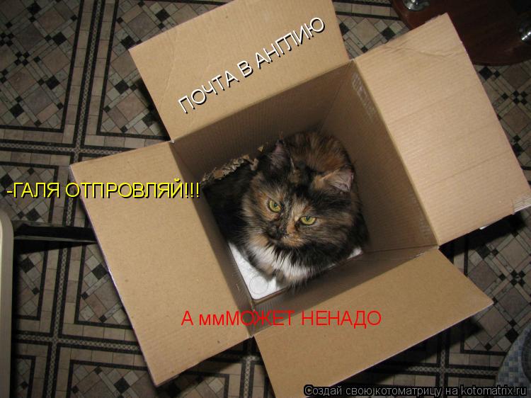 Котоматрица: ПОЧТА В АНГЛИЮ А ммМОЖЕТ НЕНАДО -ГАЛЯ ОТПРОВЛЯЙ!!!