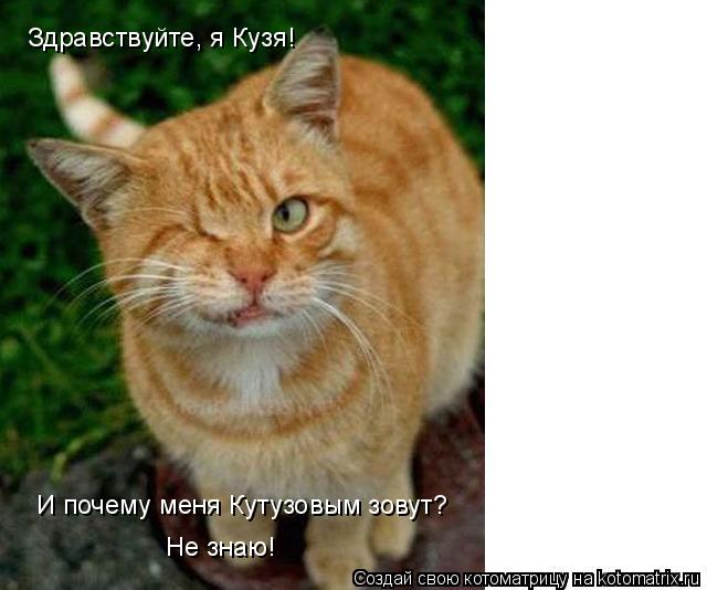 Котоматрица: Здравствуйте, я Кузя! И почему меня Кутузовым зовут? Не знаю!