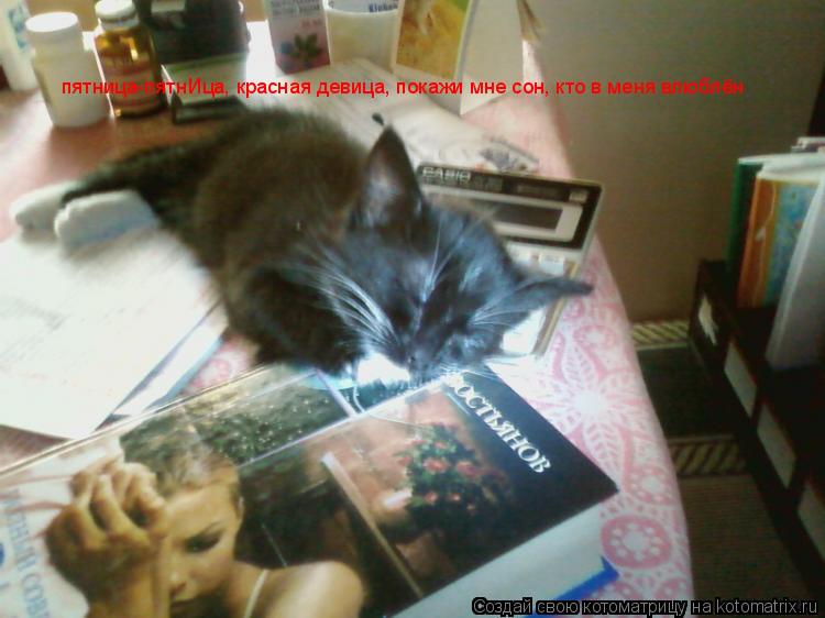 Котоматрица: пятница-пятнИца, красная девица, покажи мне сон, кто в меня влюблён