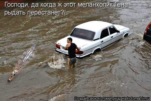 Котоматрица: Господи, да когда ж этот меланхолик Гена рыдать перестанет?!