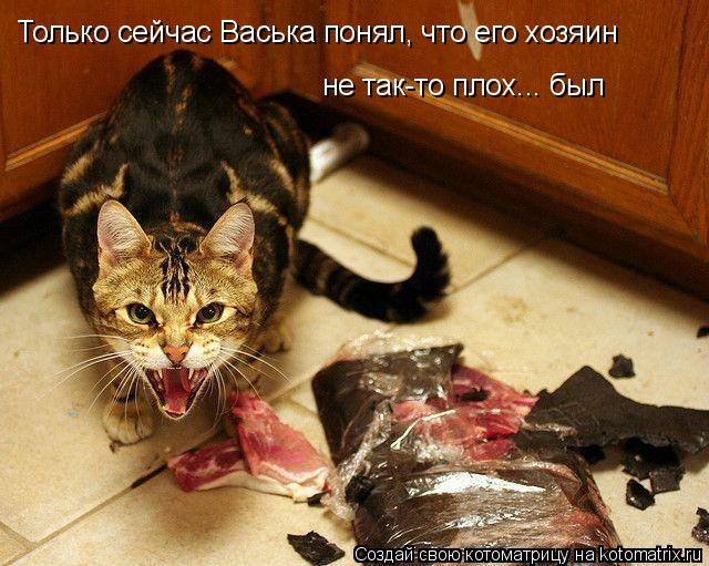 Котоматрица: Только сейчас Васька понял, что его хозяин  не так-то плох... был