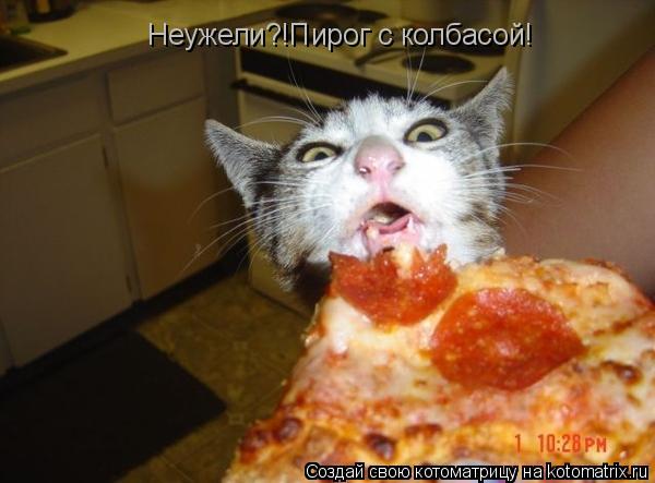 Котоматрица: Неужели?!Пирог с колбасой!