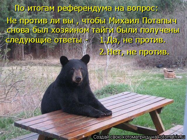 Котоматрица: По итогам референдума на вопрос: Не против ли вы , чтобы Михаил Потапыч  следующие ответы -    1.Да, не против.  снова был хозяином тайги были по