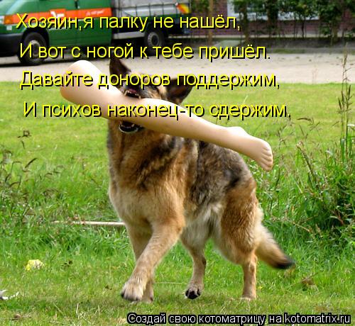 Котоматрица: Хозяин,я палку не нашёл, И вот с ногой к тебе пришёл. Давайте доноров поддержим, И психов наконец-то сдержим.