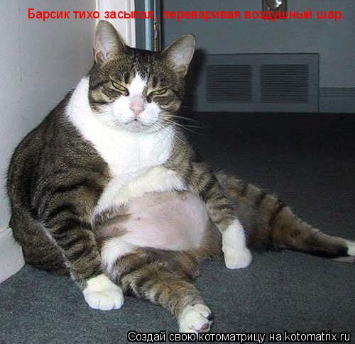 Котоматрица: Барсик тихо засыпал, переваривая воздушный шар.