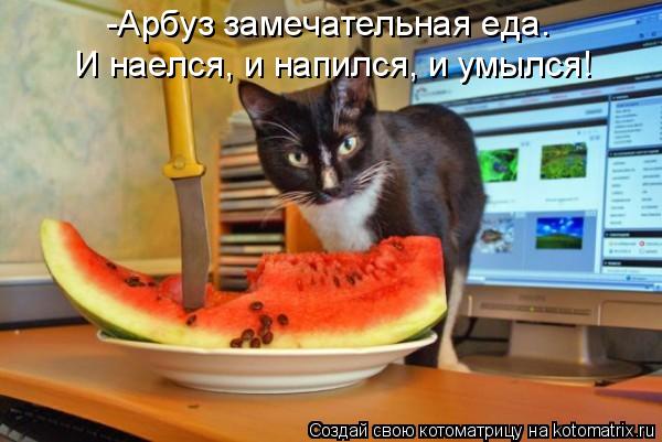 Котоматрица: -Арбуз замечательная еда. И наелся, и напился, и умылся!
